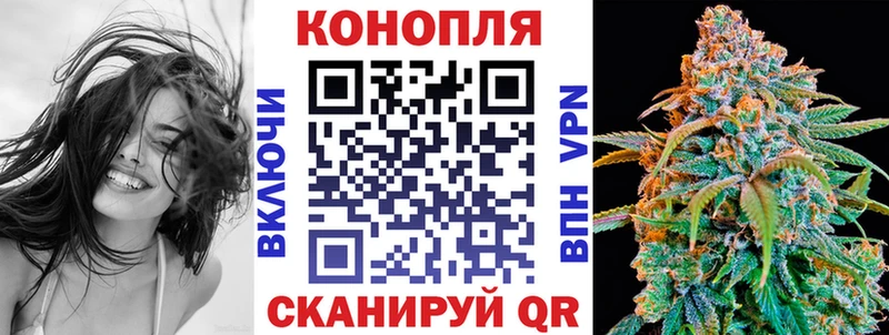 Купить где  Дубовка  Шишки марихуана гибрид 